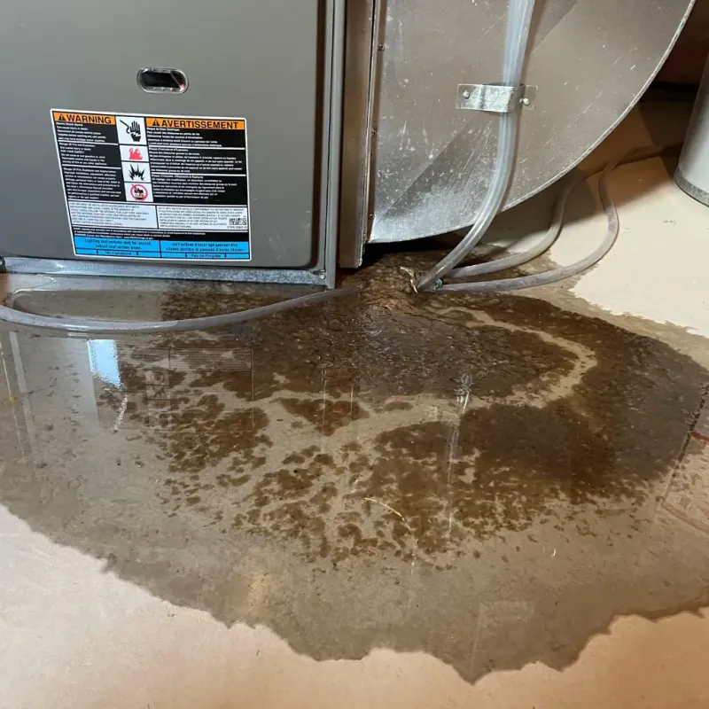 Appliance Leak Cleanup in Bridgewater, MA